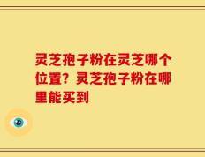 灵芝孢子粉在灵芝哪个位置？灵芝孢子粉在哪里能买到