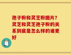 孢子粉和灵芝粉图片？灵芝和灵芝孢子粉的关系到底是怎么样的谁更好
