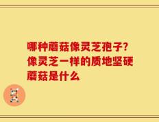 哪种蘑菇像灵芝孢子？像灵芝一样的质地坚硬蘑菇是什么