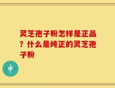 灵芝孢子粉怎样是正品？什么是纯正的灵芝孢子粉