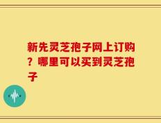 新先灵芝孢子网上订购？哪里可以买到灵芝孢子
