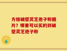 方格破壁灵芝孢子粉图片？哪里可以买的到破壁灵芝孢子粉