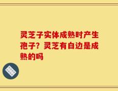 灵芝子实体成熟时产生孢子？灵芝有白边是成熟的吗