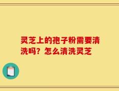灵芝上的孢子粉需要清洗吗？怎么清洗灵芝