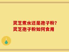 灵芝煮水还是孢子粉？灵芝孢子粉如何食用