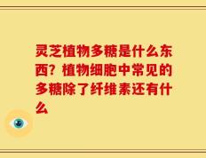灵芝植物多糖是什么东西？植物细胞中常见的多糖除了纤维素还有什么
