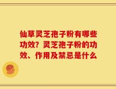 仙草灵芝孢子粉有哪些功效？灵芝孢子粉的功效、作用及禁忌是什么