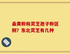 桑黄粉和灵芝孢子粉区别？东北灵芝有几种