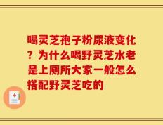 喝灵芝孢子粉尿液变化？为什么喝野灵芝水老是上厕所大家一般怎么搭配野灵芝吃的