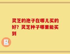 灵芝的孢子在哪儿买的好？灵芝种子哪里能买到