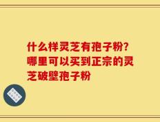 什么样灵芝有孢子粉？哪里可以买到正宗的灵芝破壁孢子粉