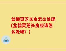 盆栽灵芝长虫怎么处理(盆栽灵芝长虫应该怎么处理？)