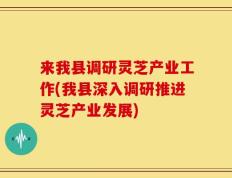 来我县调研灵芝产业工作(我县深入调研推进灵芝产业发展)