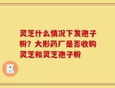 灵芝什么情况下发孢子粉？大形药厂是否收购灵芝和灵芝孢子粉