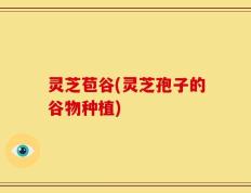 灵芝苞谷(灵芝孢子的谷物种植)