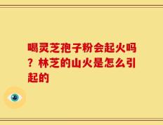 喝灵芝孢子粉会起火吗？林芝的山火是怎么引起的