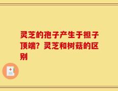 灵芝的孢子产生于担子顶端？灵芝和树菇的区别