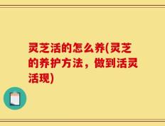 灵芝活的怎么养(灵芝的养护方法，做到活灵活现)