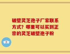 破壁灵芝孢子厂家联系方式？哪里可以买到正宗的灵芝破壁孢子粉