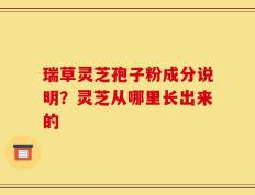 瑞草灵芝孢子粉成分说明？灵芝从哪里长出来的