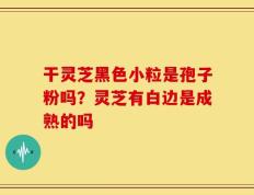干灵芝黑色小粒是孢子粉吗？灵芝有白边是成熟的吗