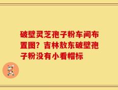破壁灵芝孢子粉车间布置图？吉林敖东破壁孢子粉没有小看帽标