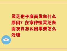 灵芝孢子底面发白什么原因？在家种植灵芝表面发白怎么回事要怎么处理