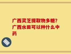 广西灵芝提取物多糖？广西水田可以种什么中药