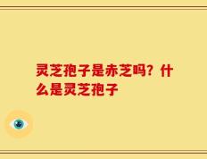 灵芝孢子是赤芝吗？什么是灵芝孢子