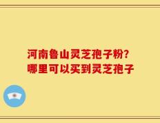 河南鲁山灵芝孢子粉？哪里可以买到灵芝孢子