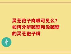 灵芝孢子肉眼可见么？如何分辨破壁和没破壁的灵芝孢子粉