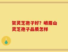 贺灵芝孢子好？峨眉山灵芝孢子品质怎样
