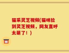猫采灵芝视频(猫咪捡到灵芝视频，网友直呼太萌了！)
