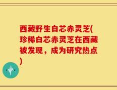 西藏野生白芯赤灵芝(珍稀白芯赤灵芝在西藏被发现，成为研究热点)