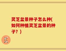 灵芝盆景种子怎么种(如何种植灵芝盆景的种子？)