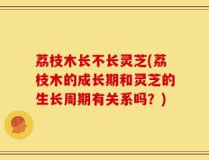 荔枝木长不长灵芝(荔枝木的成长期和灵芝的生长周期有关系吗？)