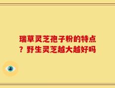 瑞草灵芝孢子粉的特点？野生灵芝越大越好吗