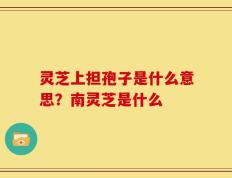 灵芝上担孢子是什么意思？南灵芝是什么