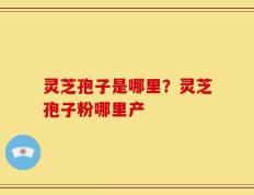 灵芝孢子是哪里？灵芝孢子粉哪里产
