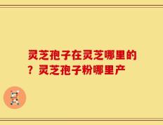 灵芝孢子在灵芝哪里的？灵芝孢子粉哪里产