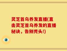 灵芝首乌养发直播(直击灵芝首乌养发的直播秘诀，告别秃头!)