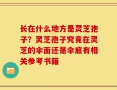 长在什么地方是灵芝孢子？灵芝孢子究竟在灵芝的伞面还是伞底有相关参考书籍