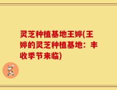 灵芝种植基地王婷(王婷的灵芝种植基地：丰收季节来临)