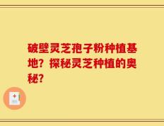 破壁灵芝孢子粉种植基地？探秘灵芝种植的奥秘？