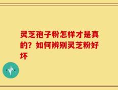 灵芝孢子粉怎样才是真的？如何辨别灵芝粉好坏