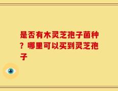 是否有木灵芝孢子菌种？哪里可以买到灵芝孢子