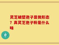 灵芝破壁孢子显微形态？真灵芝孢子粉是什么味