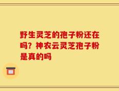野生灵芝的孢子粉还在吗？神农云灵芝孢子粉是真的吗
