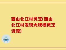 西山北江村灵芝(西山北江村发现大规模灵芝资源)