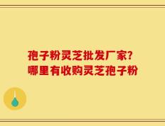孢子粉灵芝批发厂家？哪里有收购灵芝孢子粉